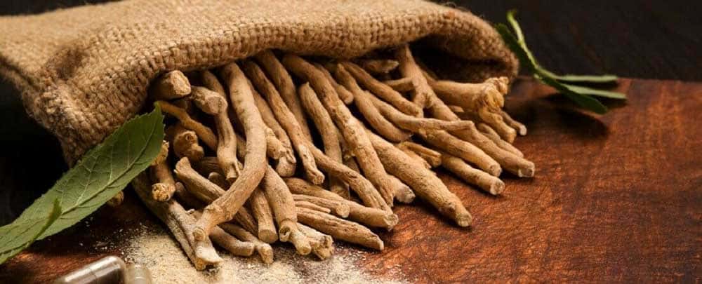 ašvaganda, superfood, ajurveda
