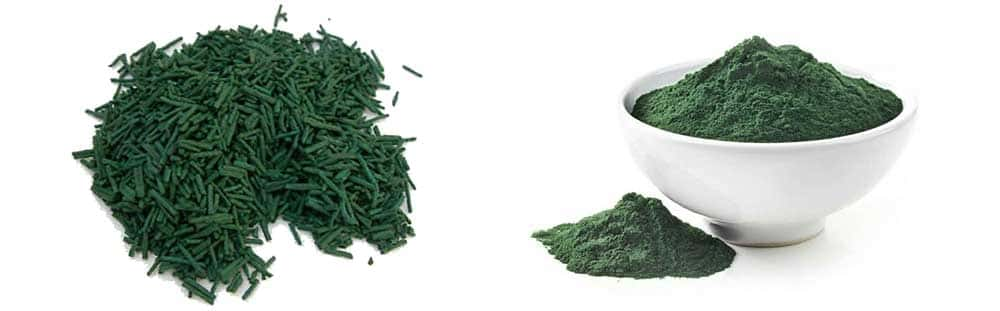 Spirulina Super food